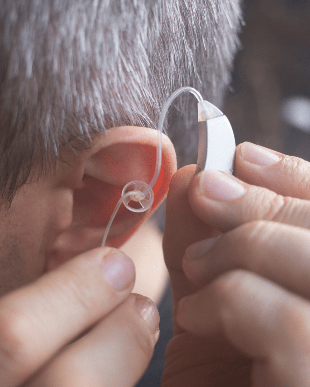 Il legame silenzioso: